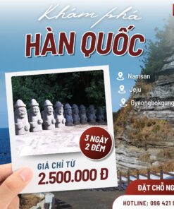 Khám phá Busan – Seoul – Văn hóa và trải nghiệm Hàn Quốc