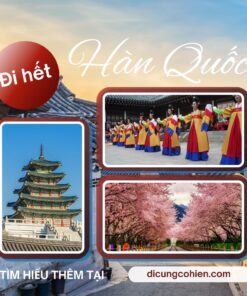 Check-in Seoul, Đảo Nami, Myeongdong cực hot